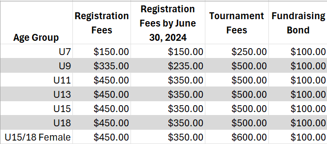 2024_2025 Fees